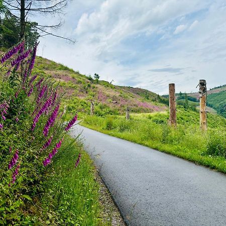 Traumwohnung Mit Sauna, Whirlpool & Wunderschoener Aussicht Plettenberg Kültér fotó